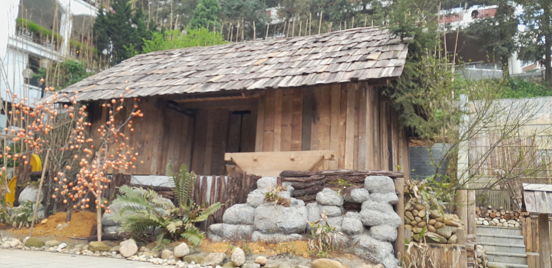 Cảnh tuyến đi bộ Tả Van minh họa việc kiểm tra đường tiếp cận homestay Sa Pa
