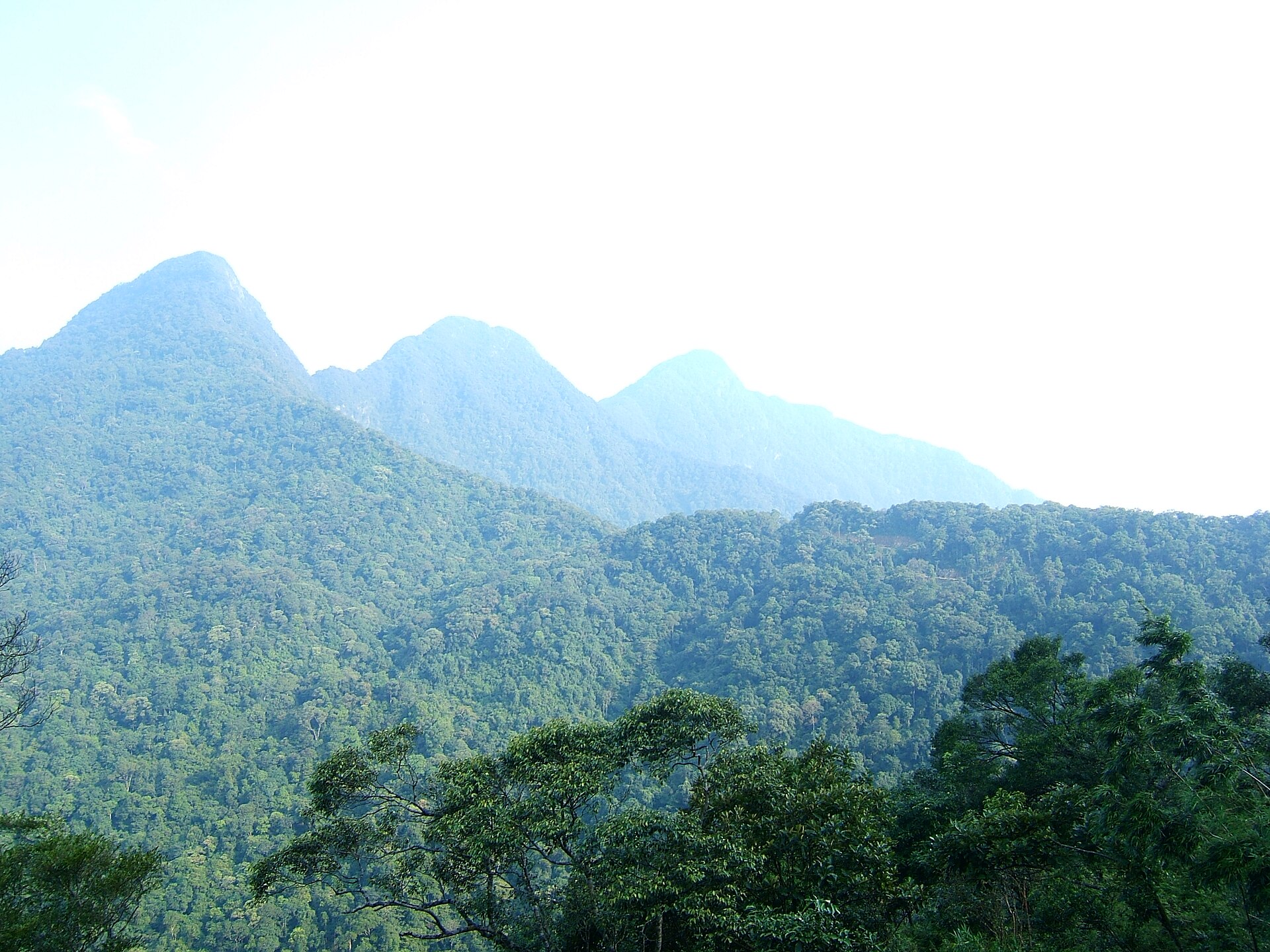 Dãy núi Tam Đảo phủ rừng xanh