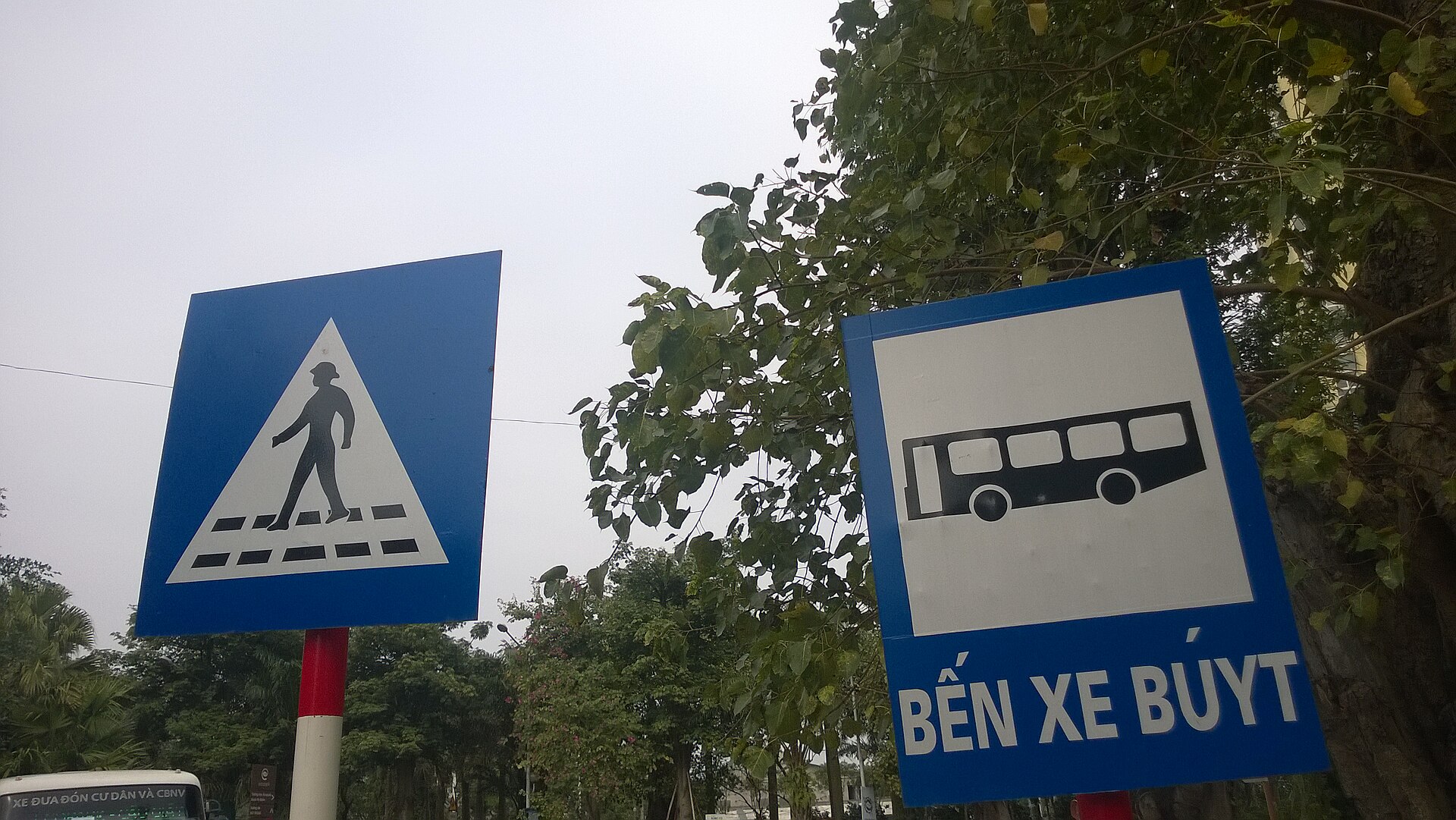 Biển báo bến xe buýt và vạch qua đường dành cho người đi bộ tại Hà Nội