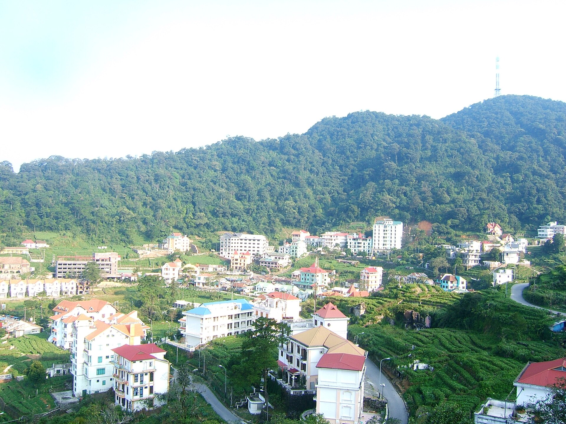 Toàn cảnh khu Tam Đảo minh họa cách kiểm tra vị trí homestay trước khi đặt