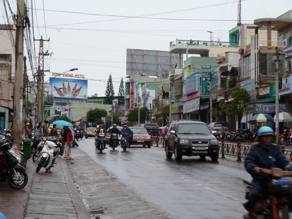 Quả cà phê Buôn Ma Thuột minh họa thông tin vùng nguyên liệu cần đối chiếu với mẫu đang thử