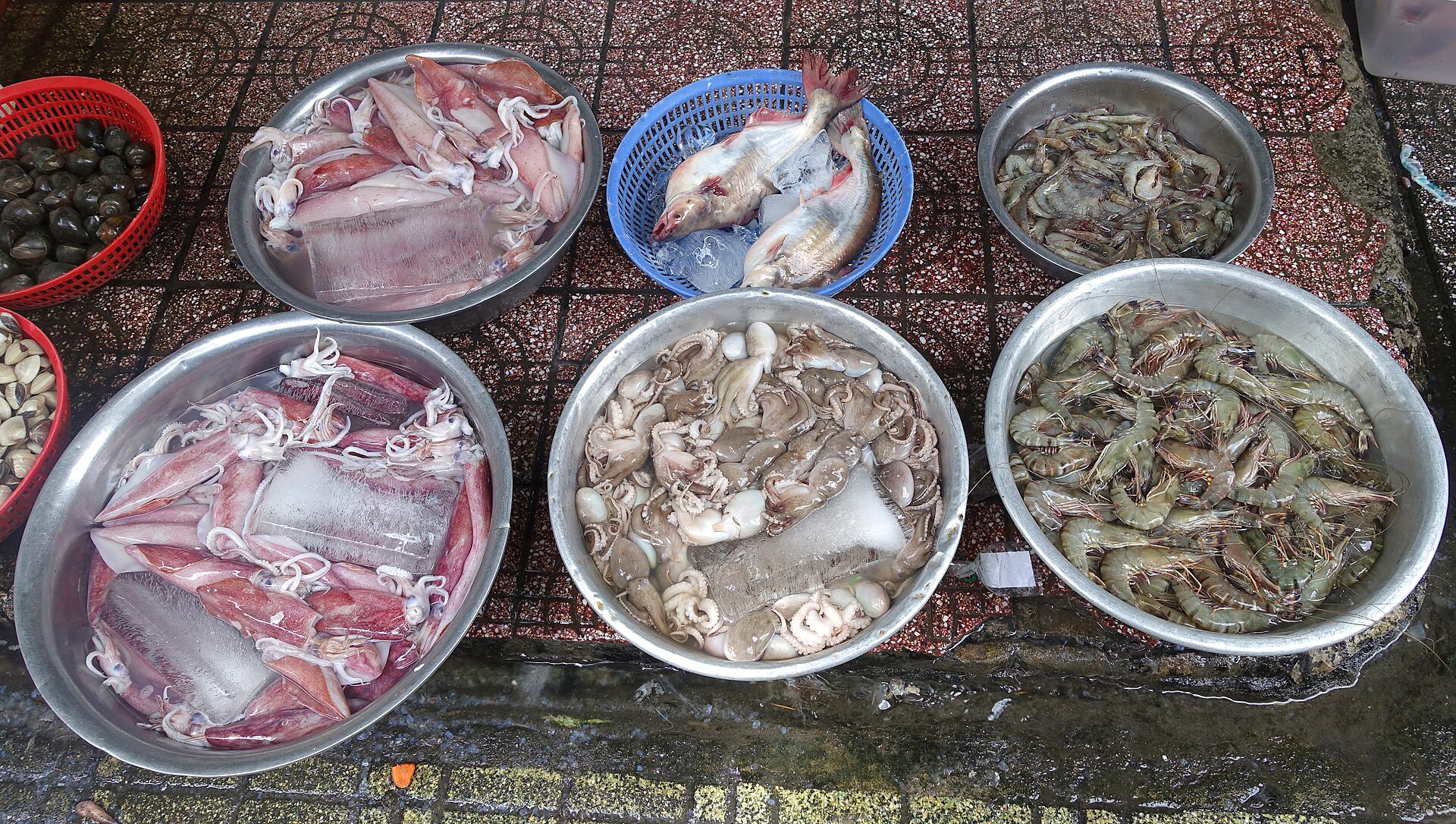 Các thau mực tôm cá tại chợ Bến Thành minh họa việc tách loại kích cỡ và trạng thái trước khi hỏi giá