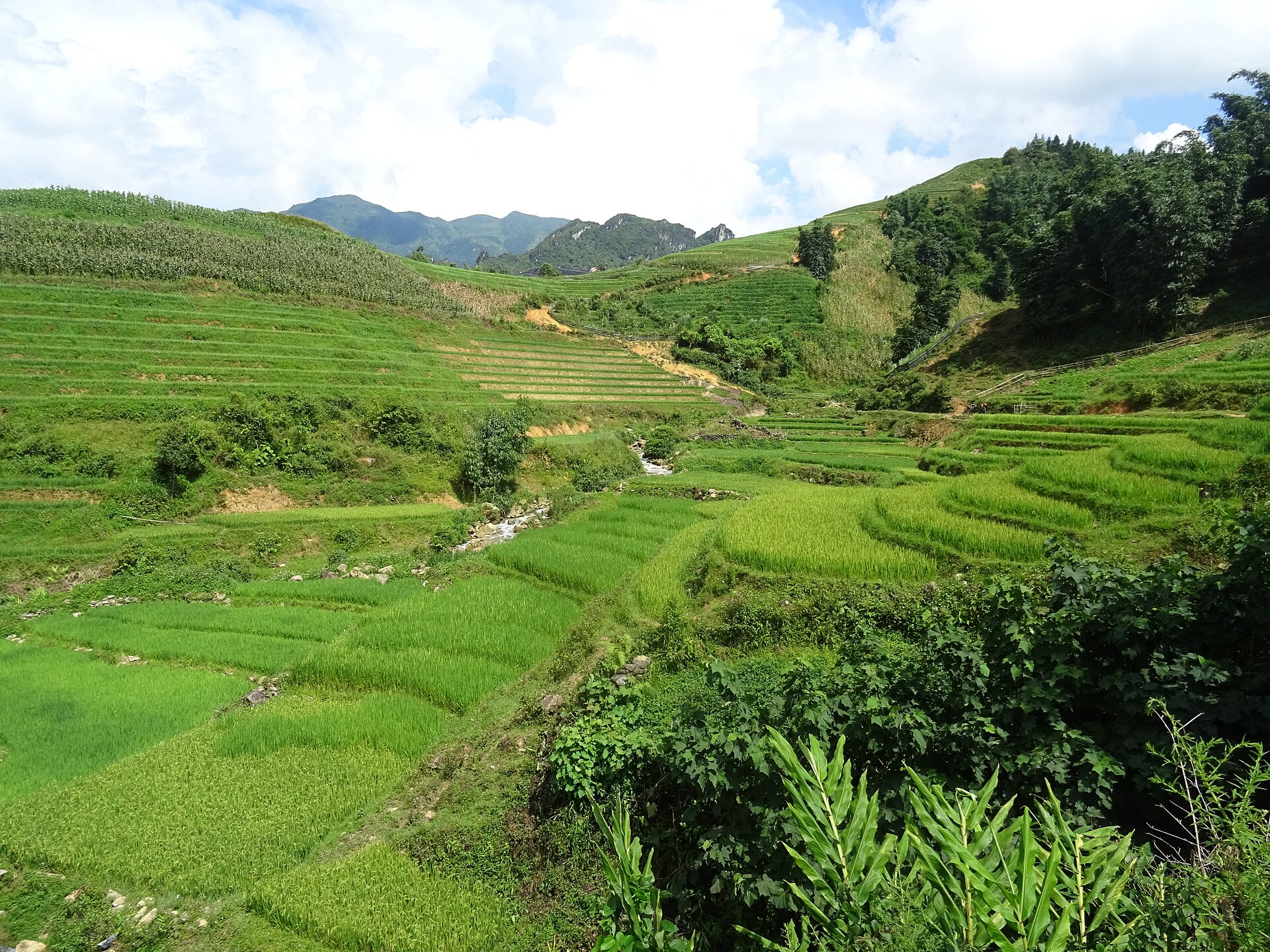Ruộng bậc thang giữa Sa Pa và Tả Phìn minh họa cách chuẩn bị hành lý trekking Sapa 3 ngày theo địa hình