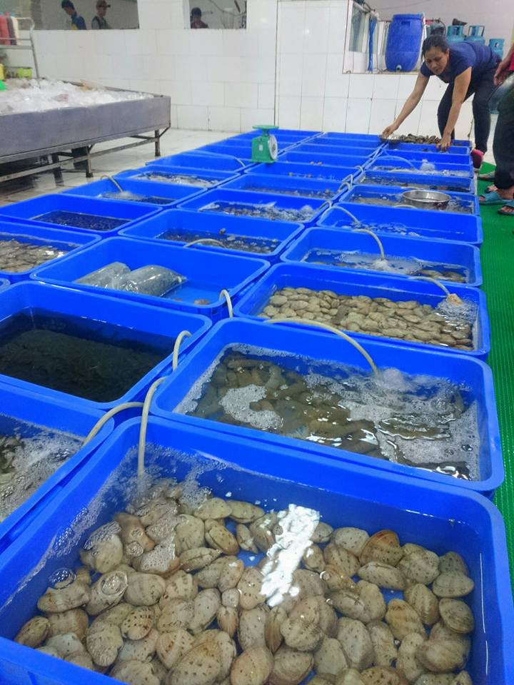 Quầy cá tại chợ Việt Nam minh họa cách quan sát điều kiện bày bán trước khi gọi hải sản