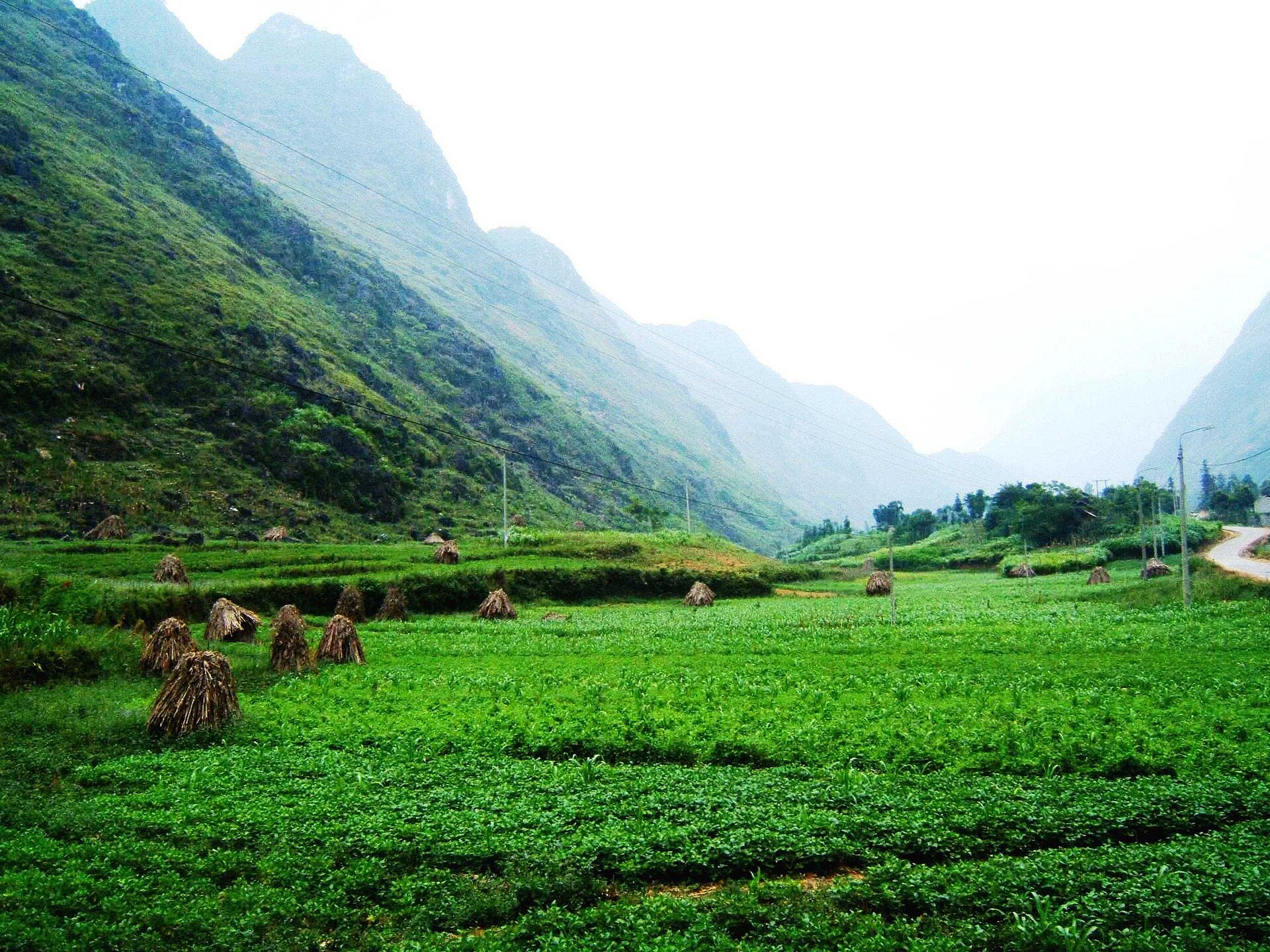 Thung lũng Pả Vi trên vòng Đồng Văn Mèo Vạc Du Già trong lịch trình Hà Giang 4 ngày 3 đêm