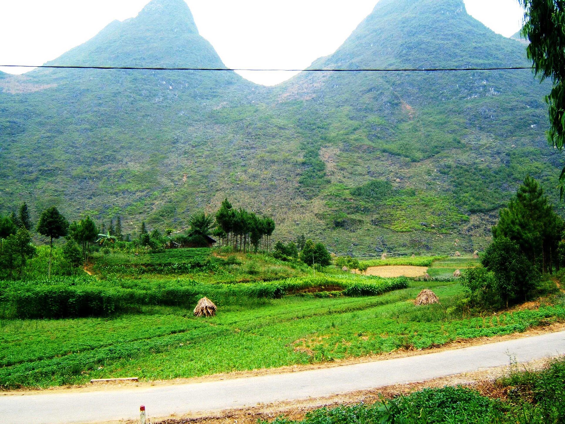 Thung lũng Pả Vi cạnh Quốc lộ 4C minh họa chặng Mã Pì Lèng Mèo Vạc bằng ô tô