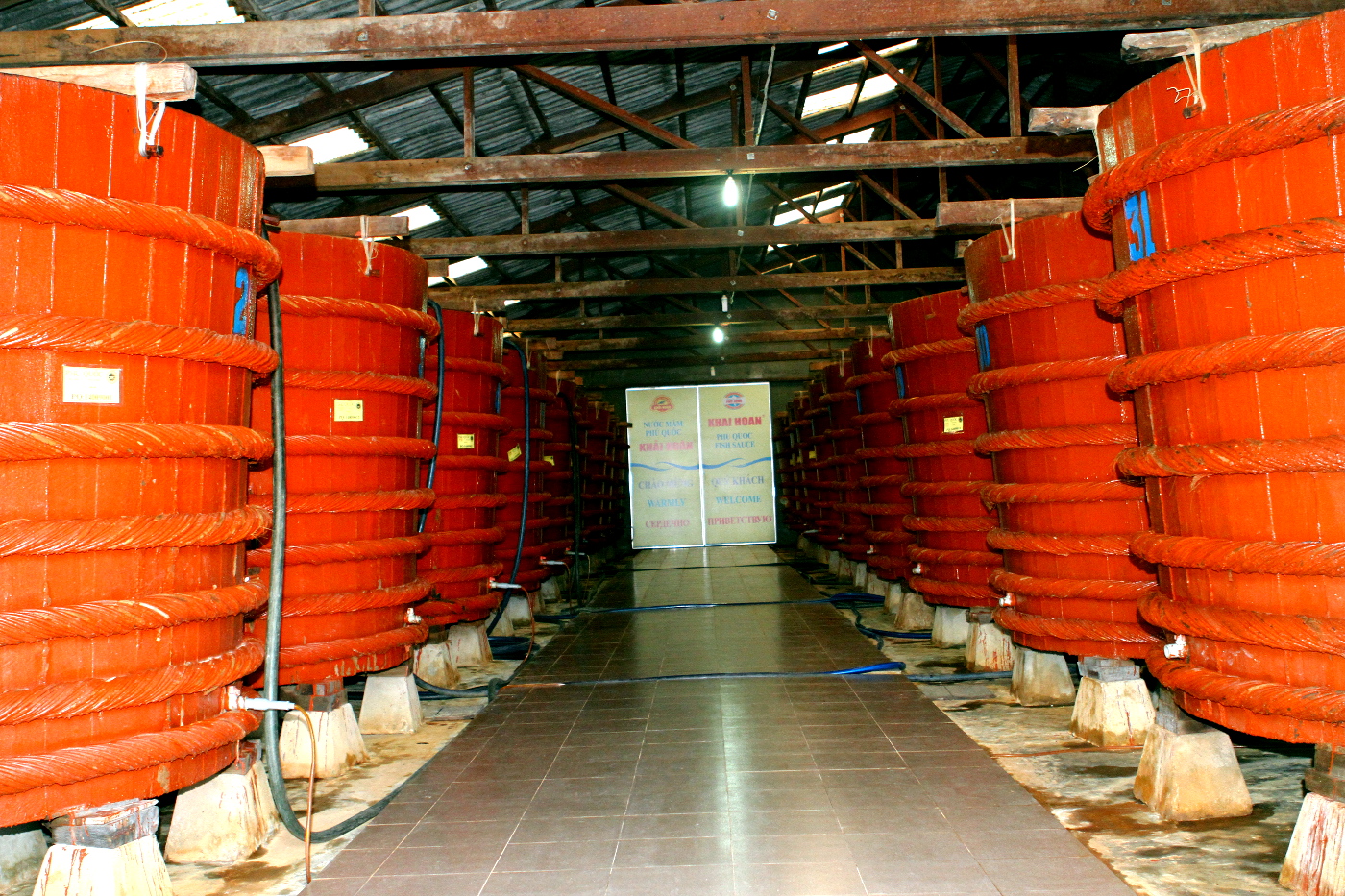 Các thùng ủ nước mắm tại Phú Quốc minh họa việc kiểm tra nhà sản xuất và nguồn gốc trước khi mua đặc sản làm quà