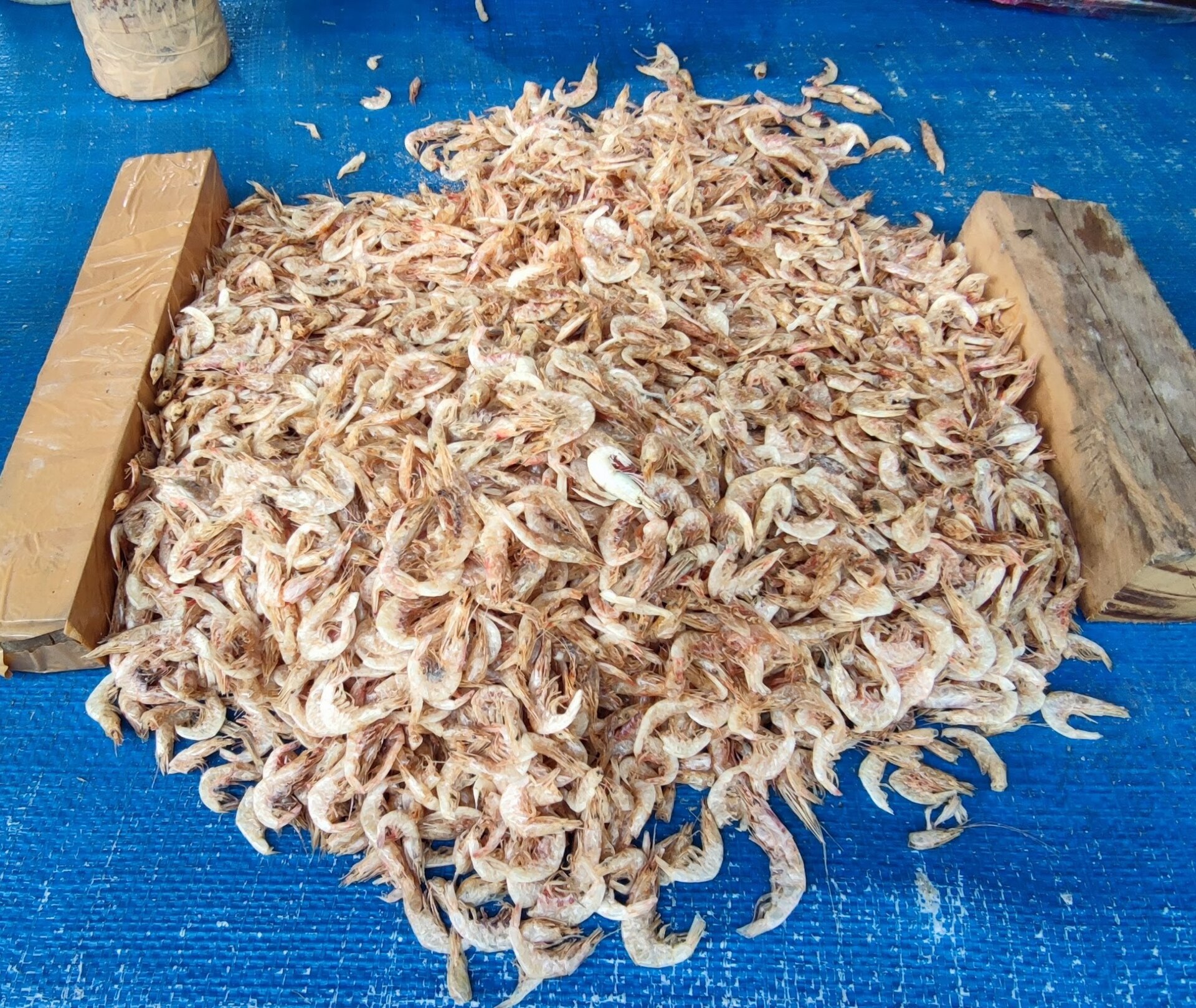 Tôm nhỏ đã làm khô còn vỏ minh họa sự khác nhau về nguyên liệu và quy cách sản phẩm